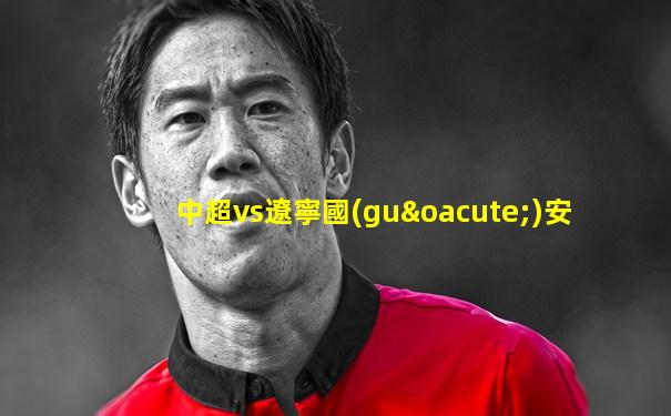 中超vs遼寧國(guó)安