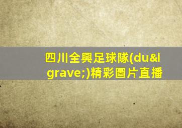 四川全興足球隊(duì)精彩圖片直播