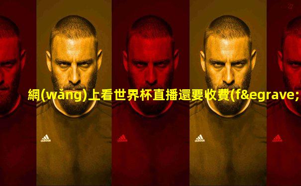 網(wǎng)上看世界杯直播還要收費(fèi)